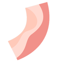 Bacon(Ϸ)
