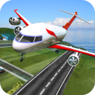 Real Airplane Flight Pilot Simul
