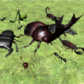Bug Battle Simulator(սģ