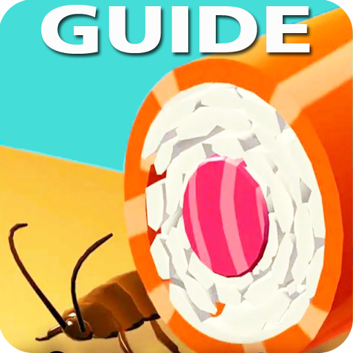Sushi Guide(˾3Dֻ