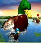 Duck Simulator 3D(Ѽģ3dİ)1.0 ׿Ѱ