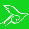 财鸽财务记账appv1.0.18