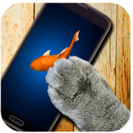 Fish For Cat(СèֻץϷ)2.1 Ѱ
