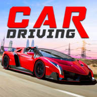 Real Driving(真正的驾驶免费游戏离线版)1.0 中文完整版