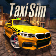 Taxi Sim 2020(ɳ۳⳵׿(T
