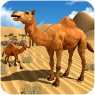 Camel Family Life Simulator(ռͥģ)