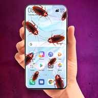 屏幕上的蟑螂app(Cockroach On Screen)1.0 中文安卓版
