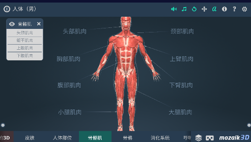 (Human body)app
