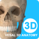 维萨里3D解剖教学最新版5.4.4 安卓版