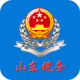 山东省电子税务局网上办税平台app1.3.5 安卓版