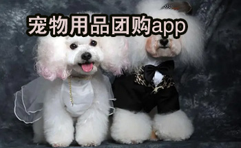 宠物用品团购app