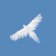 ֮(Sky Bird)0.6.5 ׿