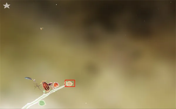 Botanicula2025最新版本 Botanicula2025最新版本