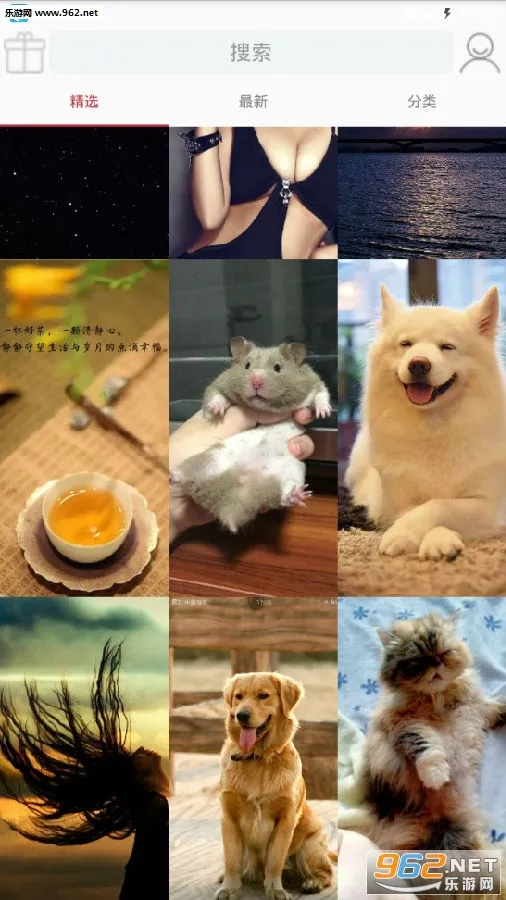 番茄壁纸2025下载安装 番茄壁纸2025下载安装