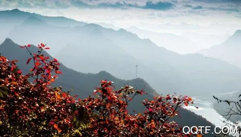 谷城社区官方最新版本 谷城社区官方最新版本