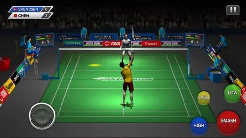 Realbadminton2025°汾v1.0 °
