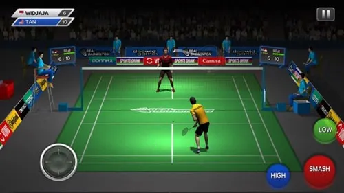 Realbadminton2025°汾v1.0 °
