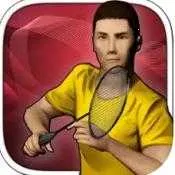 Realbadminton2025°汾v1.0 °