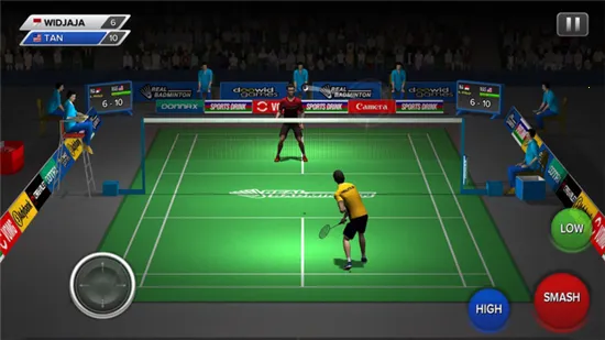 Realbadminton2025°汾v1.0 °