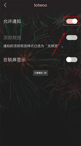 totwoo2025下载 totwoo2025下载