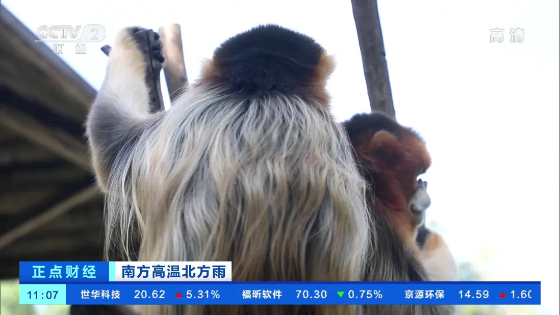 TVHub2025ذװv10.1 Ѱ