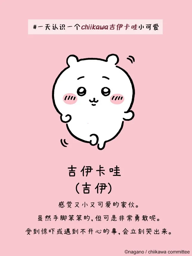 口袋吉伊卡哇国际服最新手机版 口袋吉伊卡哇国际服最新手机版