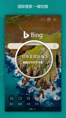 BING΢Ӧ()v31.4.2110003555 °