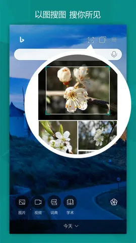 BING΢Ӧ()v31.4.2110003555 °