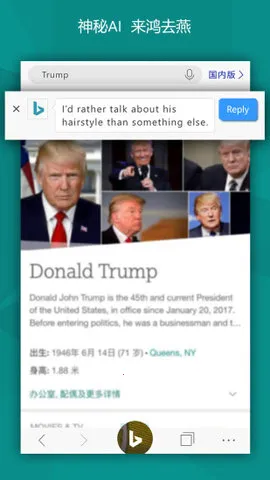 BING΢Ӧ()v31.4.2110003555 °