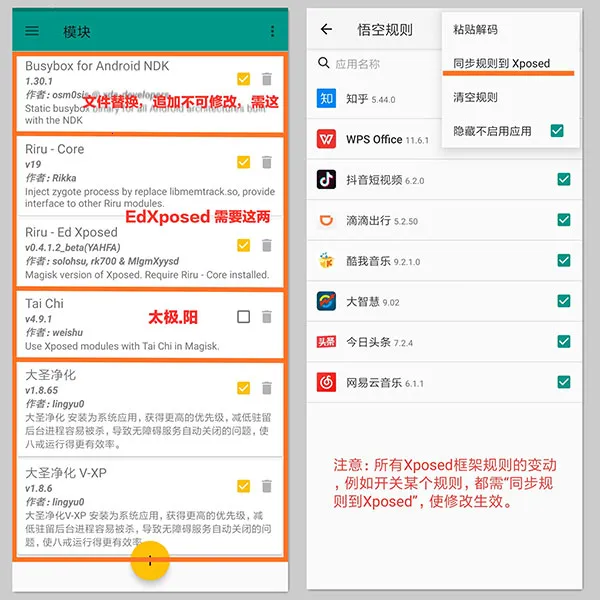 大圣净化免2025下载 大圣净化免2025下载