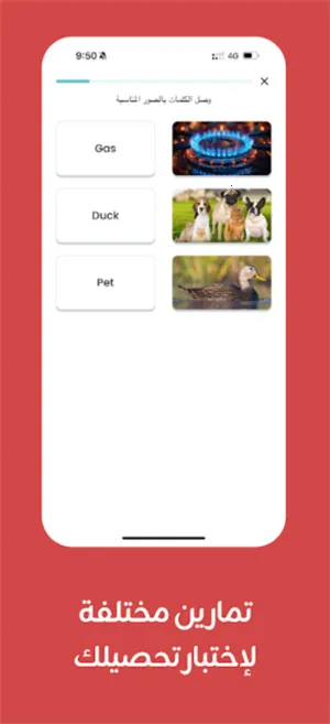 Taleek视频课程(语言学习软件) Taleek视频课程(语言学习软件)