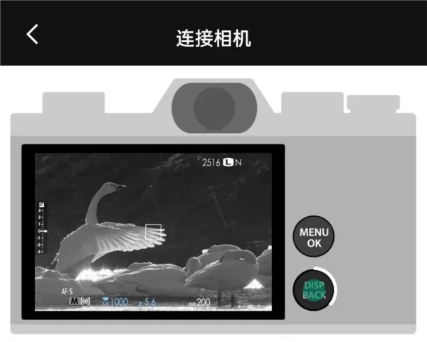 FujiXWeekly2025下载 FujiXWeekly2025下载