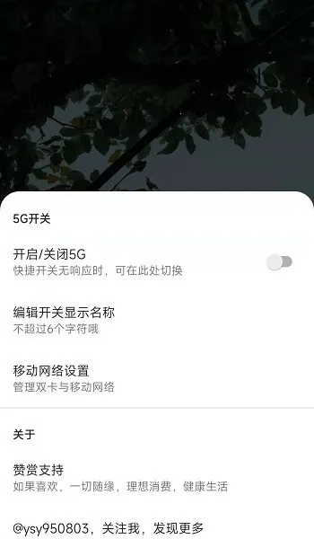 MIUI״̬��5G����(5G�������ù���)v1.2.9 ���°�