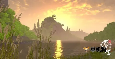 ����������(�ŷ�̽������)