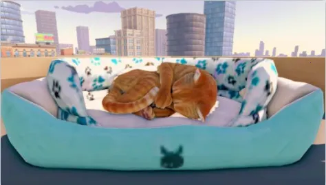 猫咪历险记大都市2025最新版本 猫咪历险记大都市2025最新版本