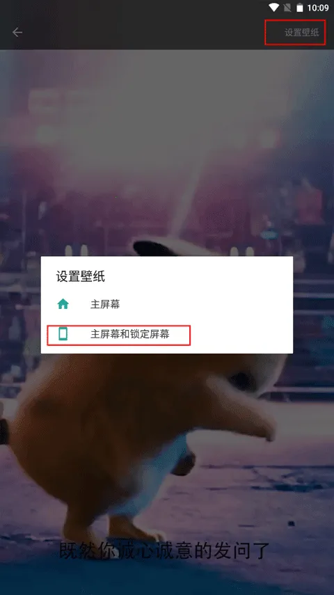 皮皮壁纸(手机壁纸软件) 皮皮壁纸(手机壁纸软件)