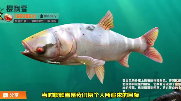 ���ֵ����ʦ��׿���ֻ���v1.0.0.44387 ��׿��