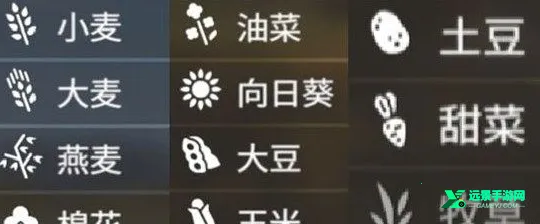 ģ��ũ��20�й��������ϰ�