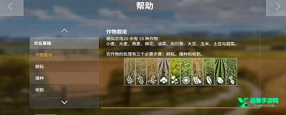 ģ��ũ��20�й��������ϰ�