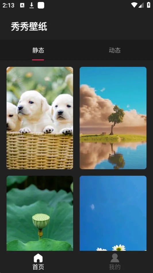 �����ֽ2025����v2.0.1 �ٷ���