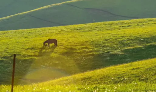 ��Ƶ��������(��Ƶ��������)