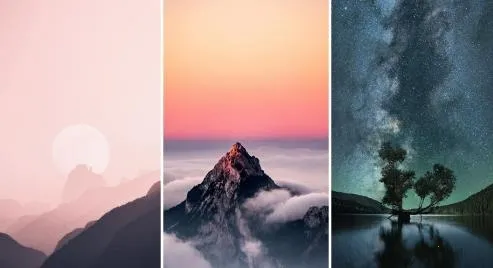 �����ֽ�������ֻ���