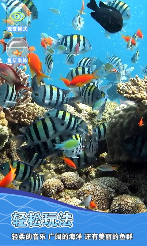 ����ģ���������ֻ���v3.1.3 �ٷ���