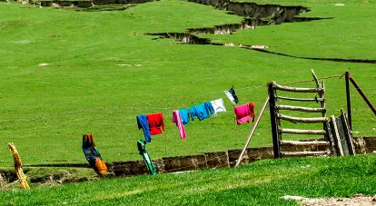 策勒好地方(便民新闻服务平台) 策勒好地方(便民新闻服务平台)