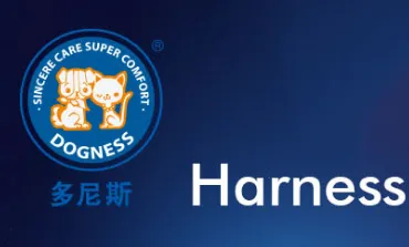 ����˹2025����