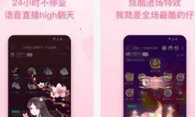 �����2026���°汾