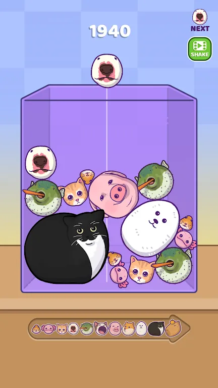 �ϲ�����2026����v1.5.5 ���°�