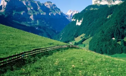 ʱ��ص����