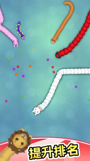 ����̰����2026���°汾v1.0 ���°�