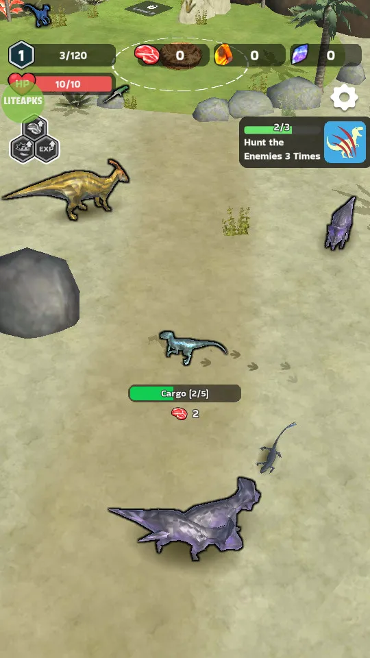 ��������